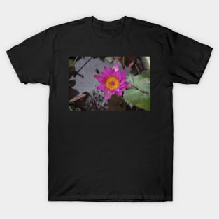 Pink Water Lily T-Shirt